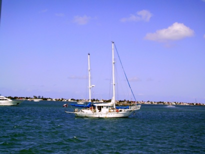 Img_7117.jpg