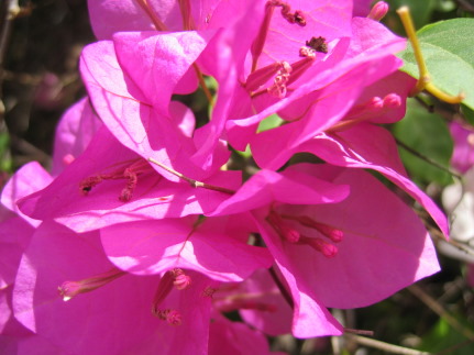 3zaIMG_5483.JPG