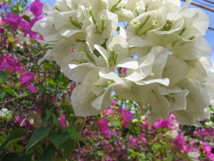 3zaIMG_5486.JPG
