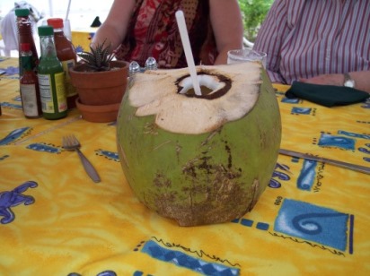4ma100_0337.JPG