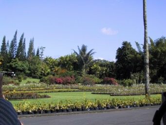 IMG_5565Hilo-NaniMauGardens-HawaiiCruise-Sep2001.jpg