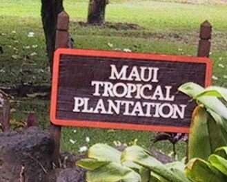 IMG_5781MauiTropicalPlantation--HawaiiCruise-Sep2001.jpg