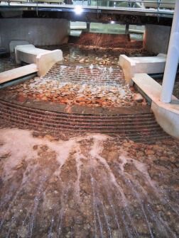 Img_5639Fountain--HawaiiCruise-Sep2001.jpg