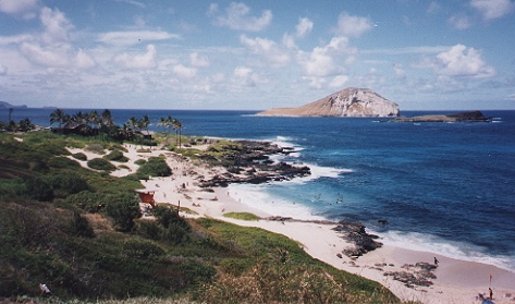 beach.jpg