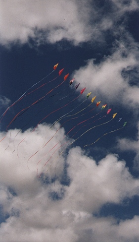 kites.jpg