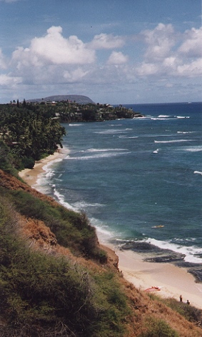 view.jpg