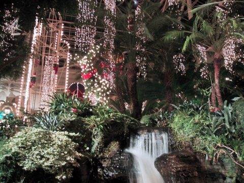 OprylandHotelTropicalGarden.-Nashville-Nov2000.jpg