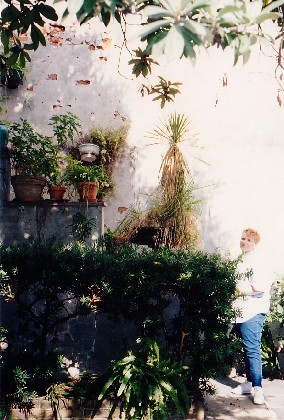 006-HiddenCourtyardBehindStores.jpg