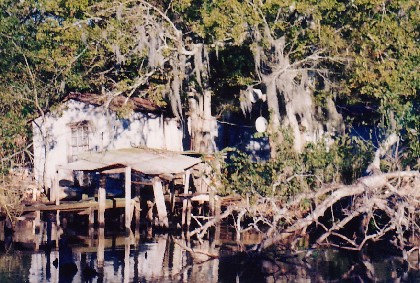 049-DeepInTheBayou.jpg