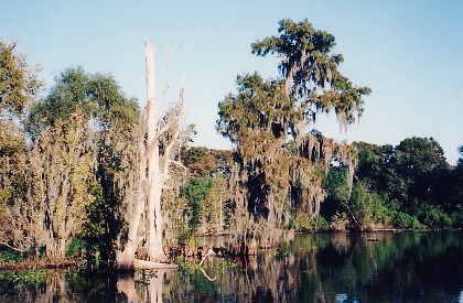 051-BayouSegnette.jpg