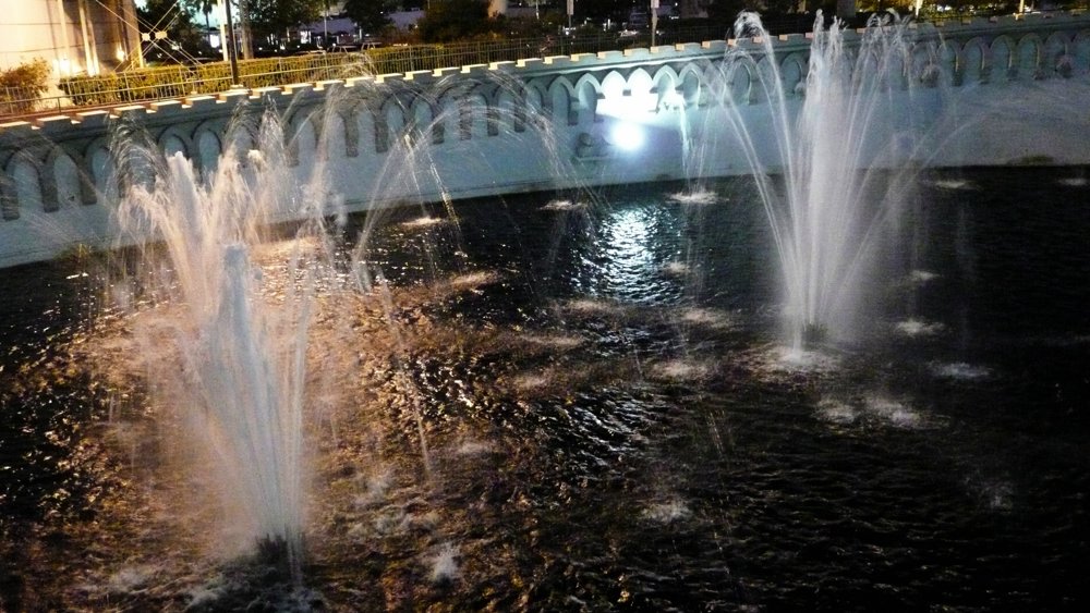 P1000850.JPG