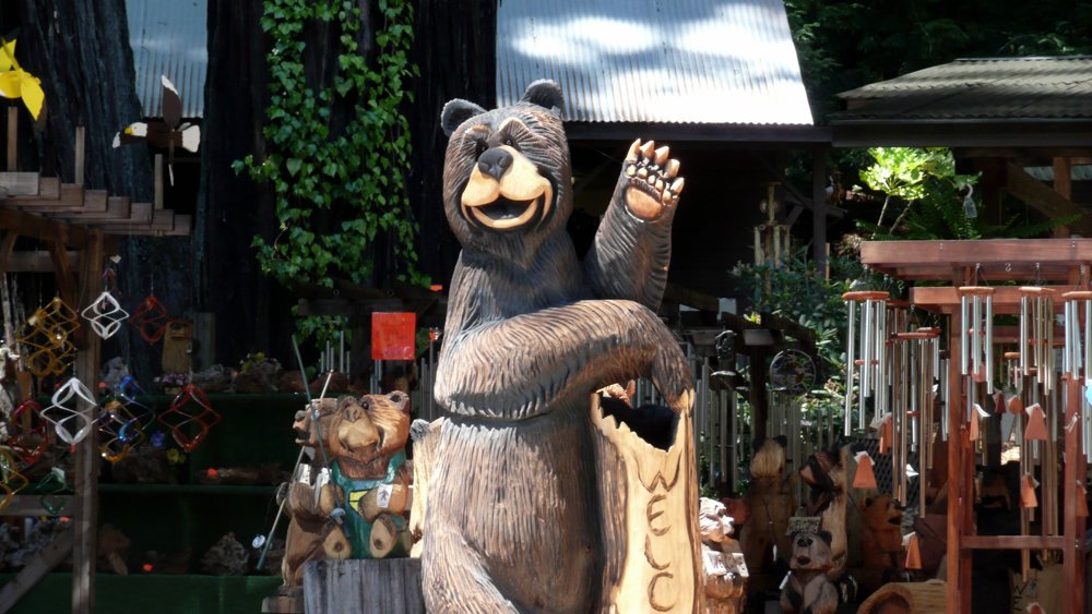 P1010055.JPG