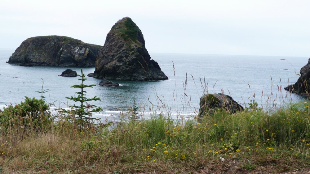 P1010163.JPG