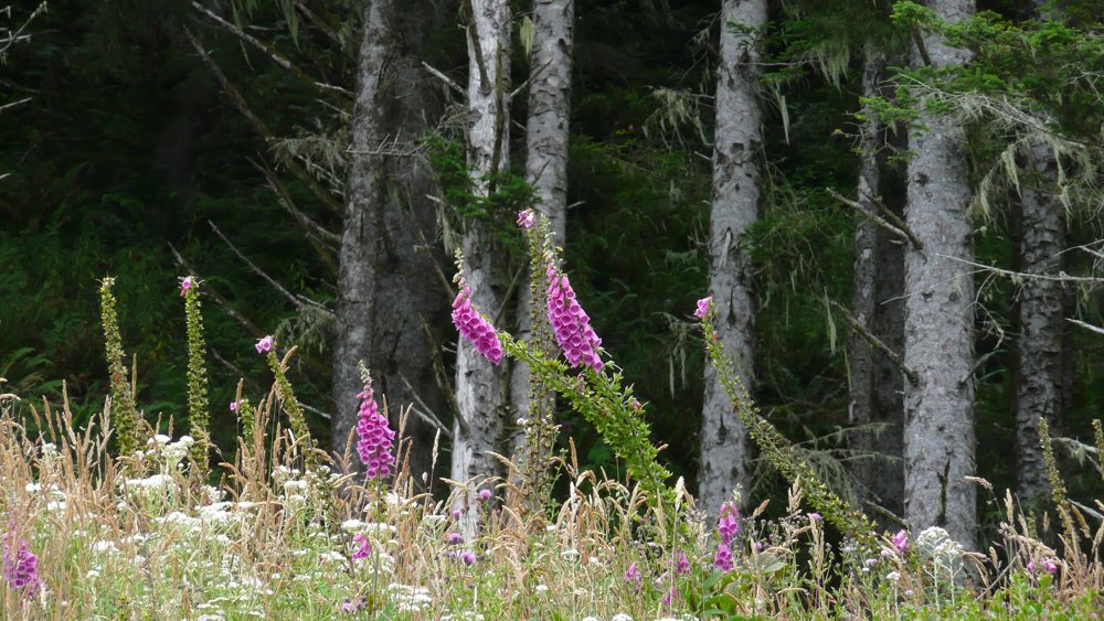 P1010166.JPG