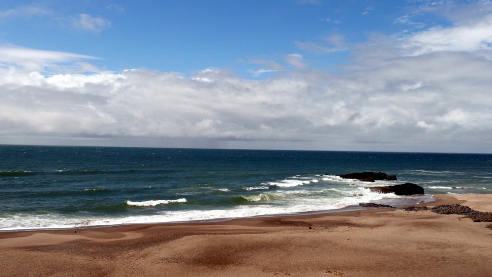 P1010309.JPG