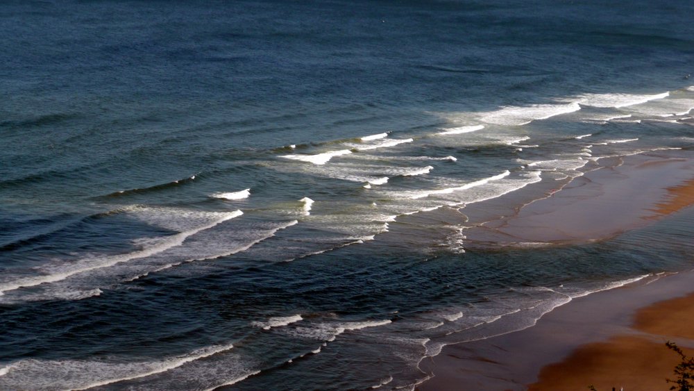 P1010425.JPG