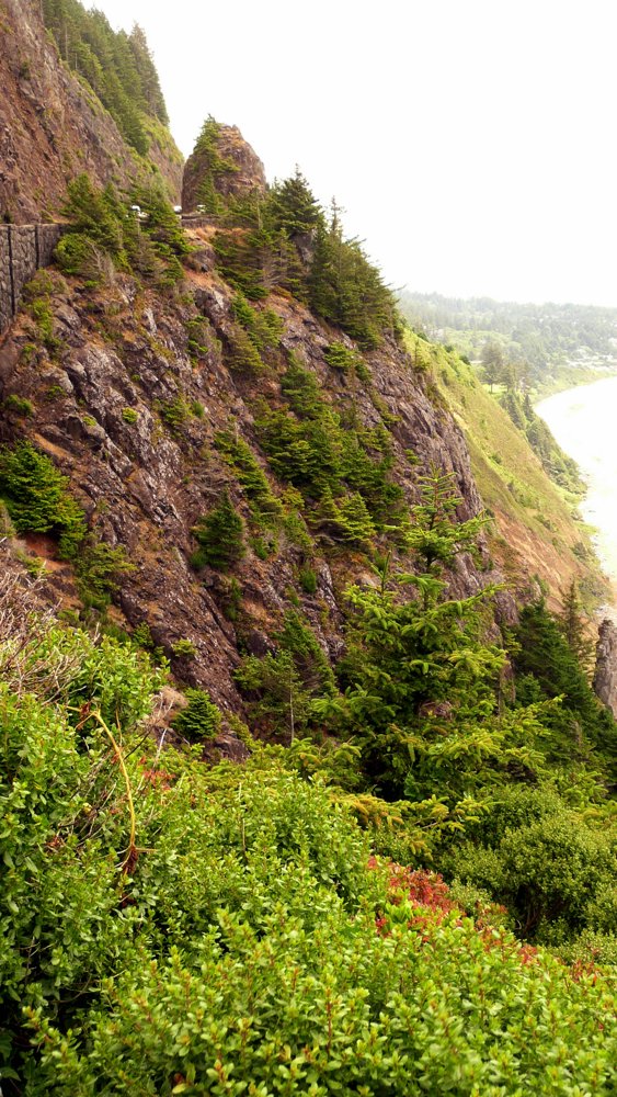 P1010483.JPG