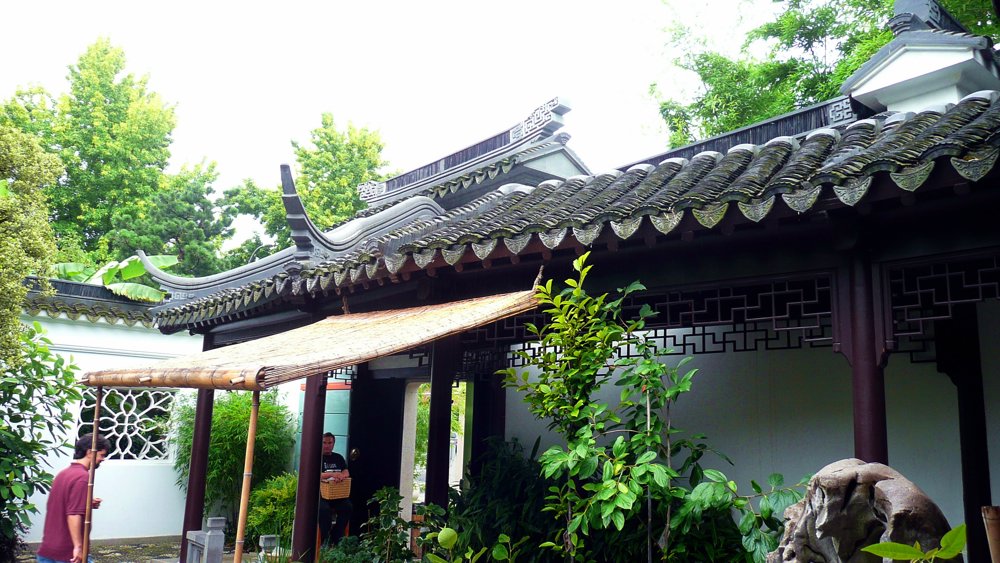 P1010546.JPG