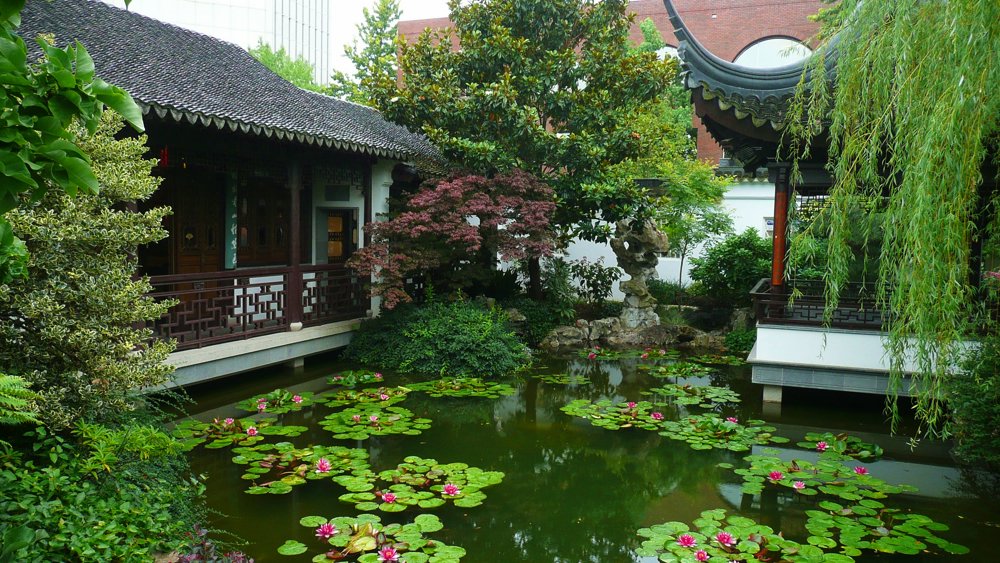 P1010564.JPG