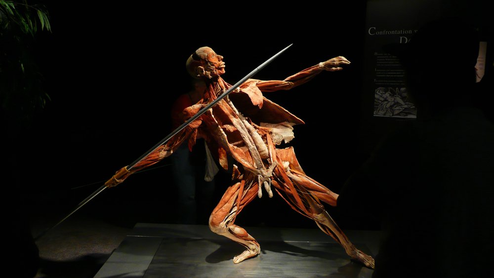 P1010616.JPG
