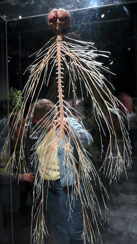 P1010617.JPG