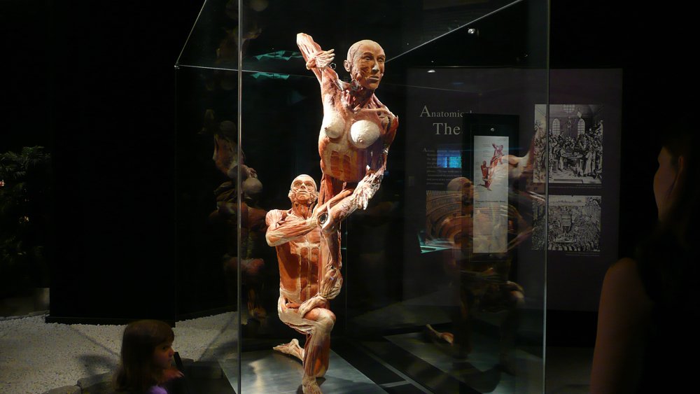 P1010620.JPG