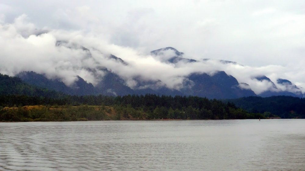 P1010731.JPG