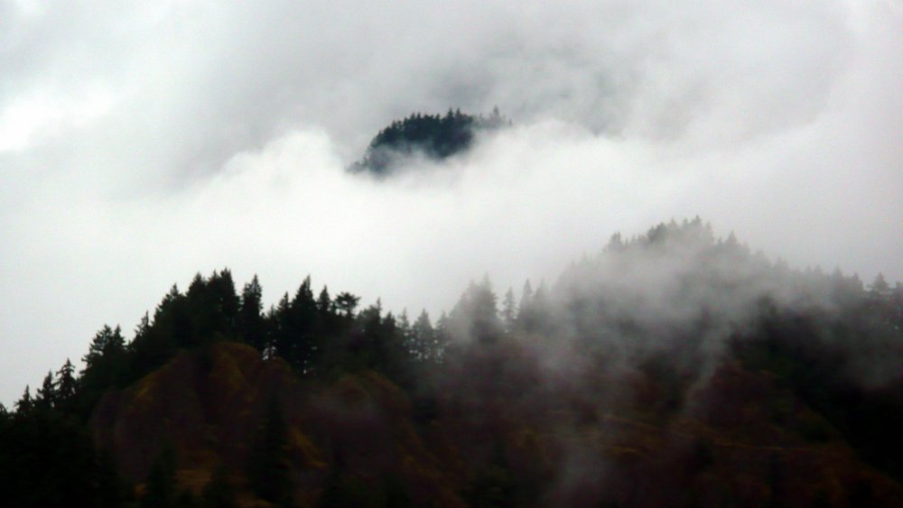 P1010794.JPG