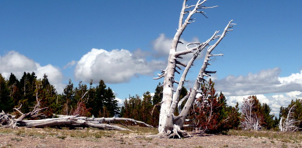 P1020111.JPG