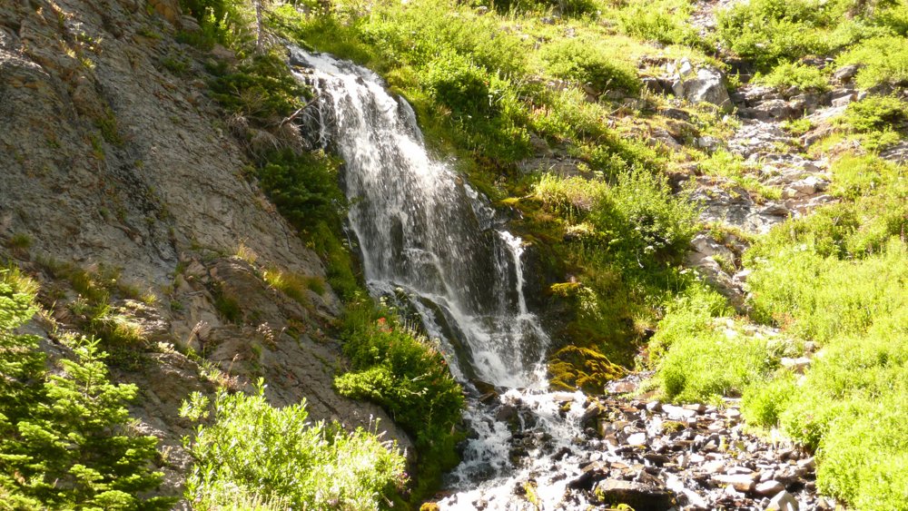 P1020165.JPG