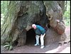 IMG_1420.JPG