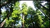 P1010092.JPG