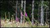 P1010166.JPG