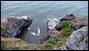 P1010240.JPG