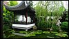 P1010566.JPG