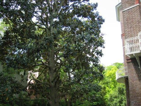 IMG_2418.JPG