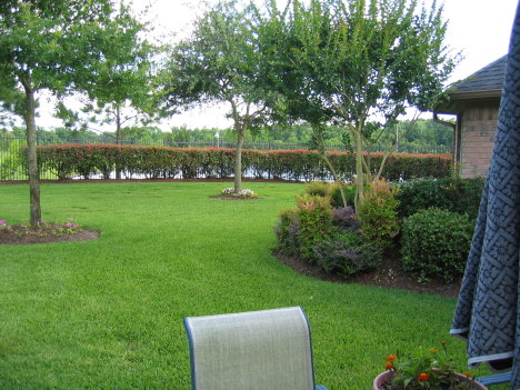 IMG_2942.JPG