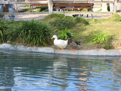IMG_1212.JPG