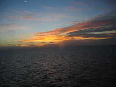 IMG_1353.JPG