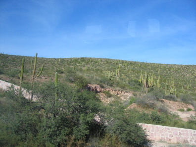IMG_1484.JPG