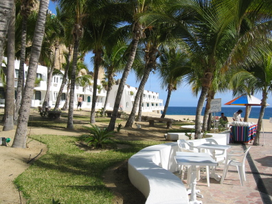 IMG_1590.JPG