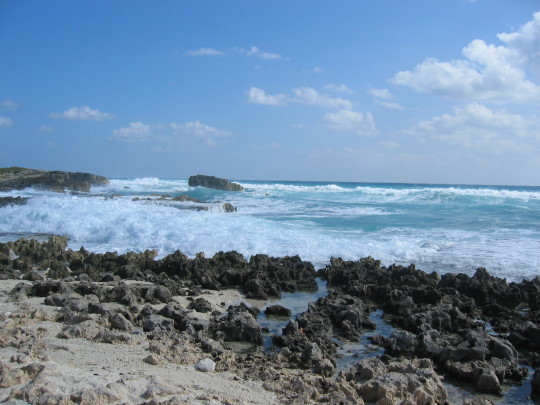 IMG_4686.JPG