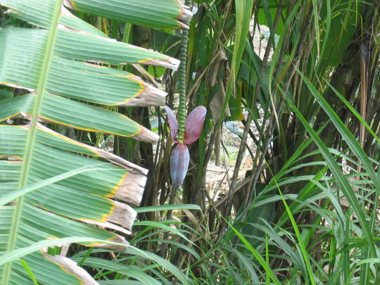 IMG_4777.JPG