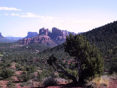 IMG_6307-CathedralRock-Sedona-Nov2001.jpg