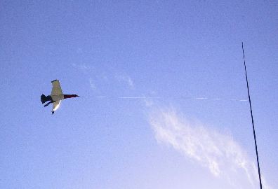 IMG_6323FlyingGoose-Sedona-Nov2001.jpg